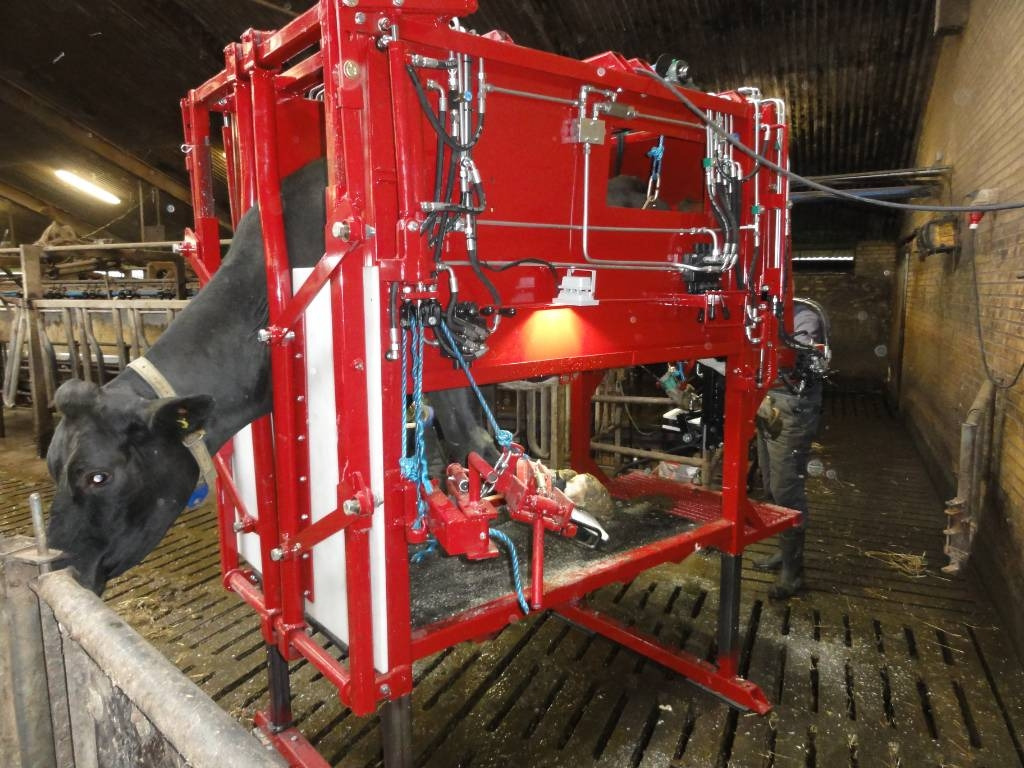 Pomi Klovbeskæringsboks / hoof trimming box - Maquinaria ganadera: foto 1 Pomi Klovbeskæringsboks / hoof trimming box - Maquinaria ganadera: foto 1