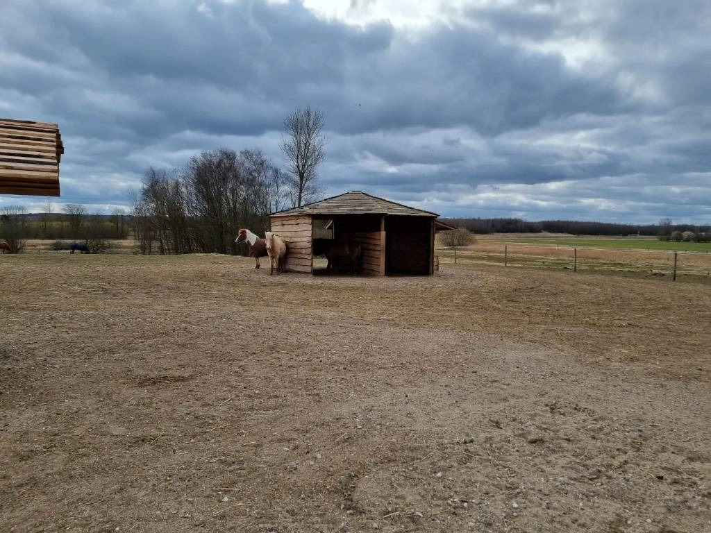 Pomi Hestepæreopsamler - Vehículo municipal: foto 5 Pomi Hestepæreopsamler - Vehículo municipal: foto 5