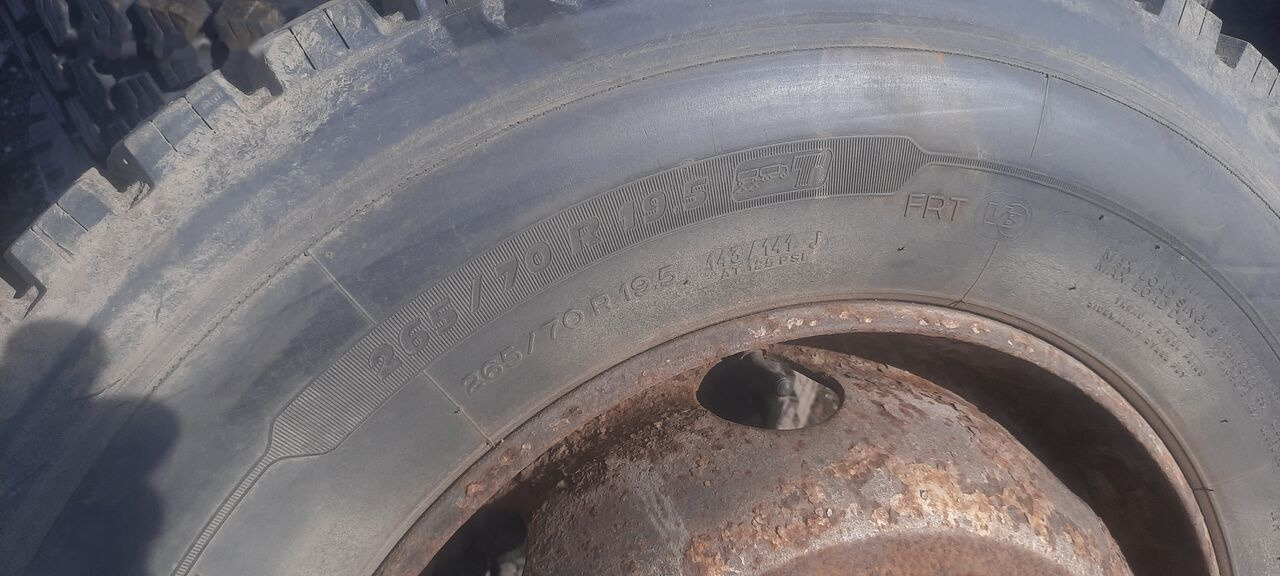 Michelin 295*80R22.5 255*70 \ 275*70* 265\70R19.5 - Neumático para Camión: foto 4 Michelin 295*80R22.5 255*70 \ 275*70* 265\70R19.5 - Neumático para Camión: foto 4