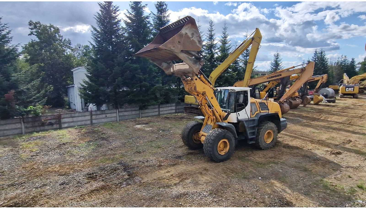 Liebherr L550 - Cargadora de ruedas: foto 4 Liebherr L550 - Cargadora de ruedas: foto 4