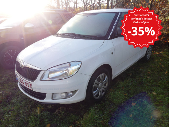 Coche Voiture Skoda Fabia (2011-142449km-VIN:TMBEN65J1B3190467): foto 1