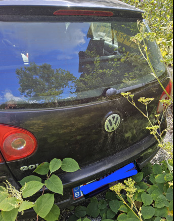 Golf gtd - Coche: foto 5 Golf gtd - Coche: foto 5