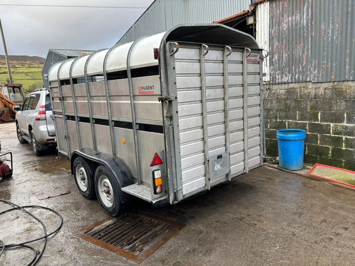 12X6 Nugent Livestock Trailer - Otros maquinaria: foto 4 12X6 Nugent Livestock Trailer - Otros maquinaria: foto 4