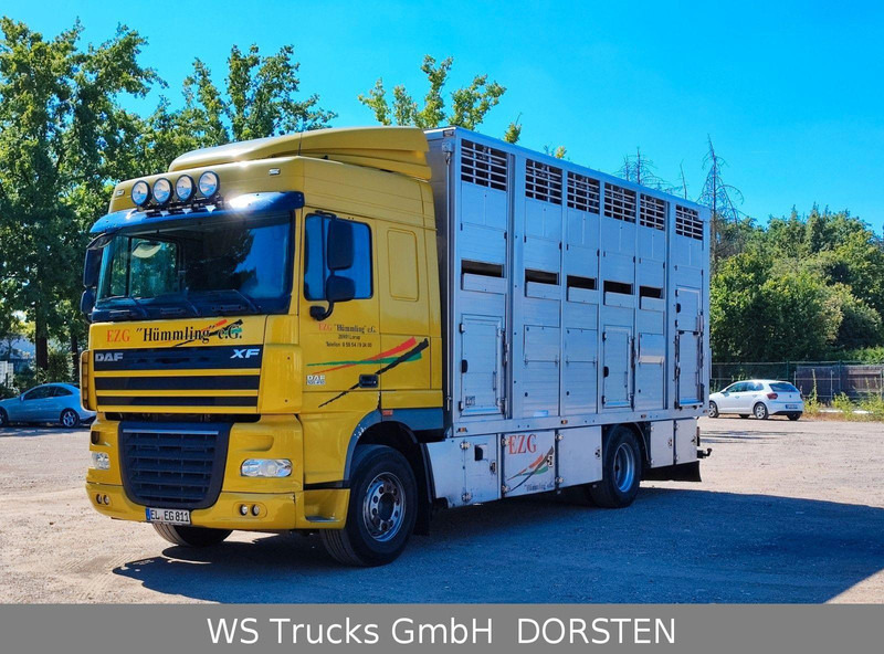 DAF XF410 Menke Doppelstock - Camión transporte de ganado: foto 1 DAF XF410 Menke Doppelstock - Camión transporte de ganado: foto 1