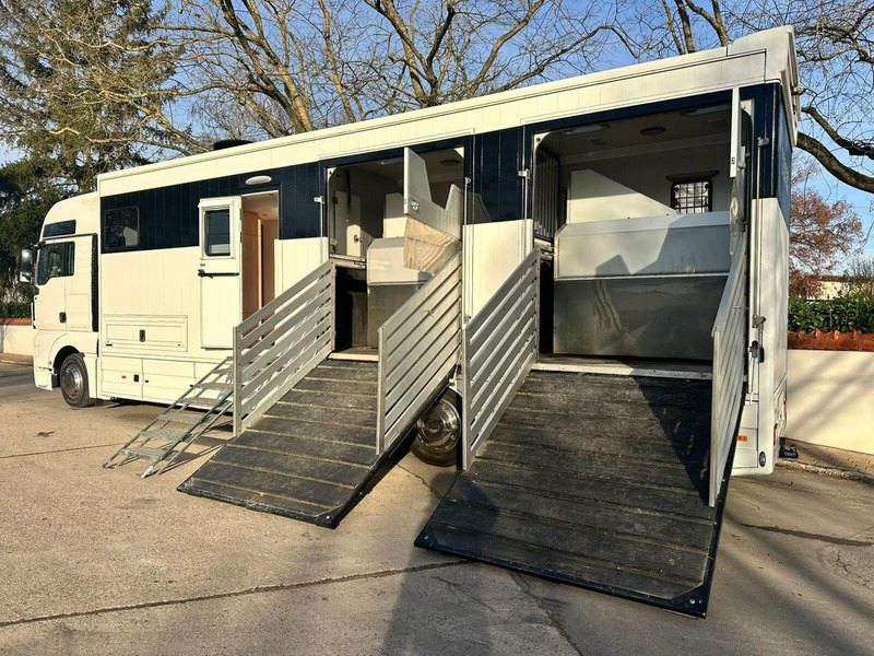 MAN TGX 26.440 - Horse transporter - Camión para caballos: foto 5 MAN TGX 26.440 - Horse transporter - Camión para caballos: foto 5