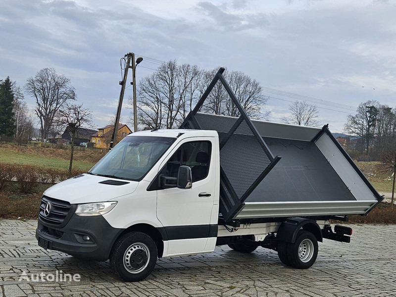 Mercedes-Benz Sprinter 419/519 CDI 3 way tipper - Volquete furgoneta: foto 2 Mercedes-Benz Sprinter 419/519 CDI 3 way tipper - Volquete furgoneta: foto 2