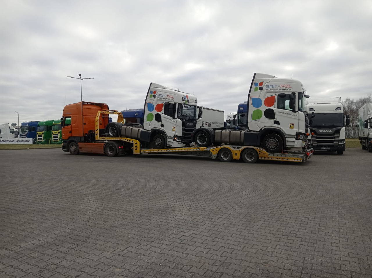 Semirremolque portavehículos para transporte de equipos pesados nuevo VEGA-S (2 AXLE TRUCK CARRIER): foto 18 Semirremolque portavehículos para transporte de equipos pesados nuevo VEGA-S (2 AXLE TRUCK CARRIER): foto 18