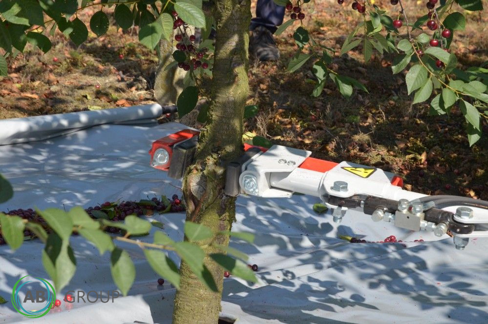 Jagoda fruits shaker PESTKA - Maquinaria de jardinería: foto 3 Jagoda fruits shaker PESTKA - Maquinaria de jardinería: foto 3