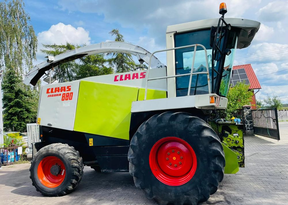 Claas Jaguar 880 - Cosechadora de forraje: foto 1 Claas Jaguar 880 - Cosechadora de forraje: foto 1