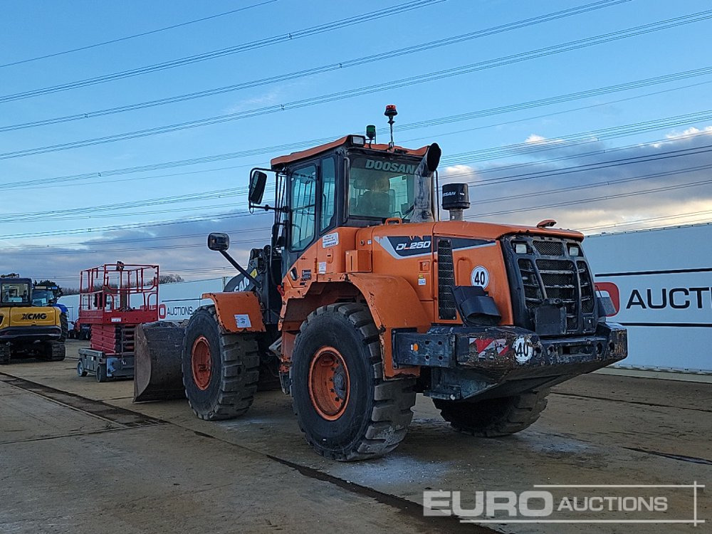 2021 Doosan DL250-5 - Cargadora de ruedas: foto 3 2021 Doosan DL250-5 - Cargadora de ruedas: foto 3