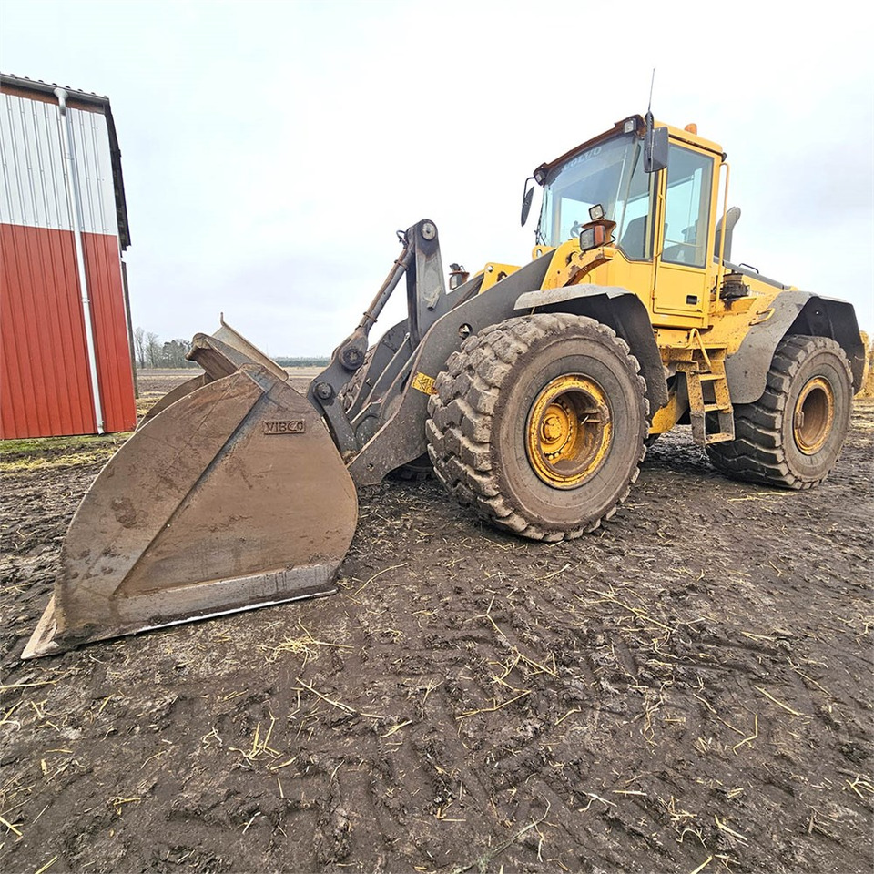 Cargadora de ruedas Volvo L120E: foto 8