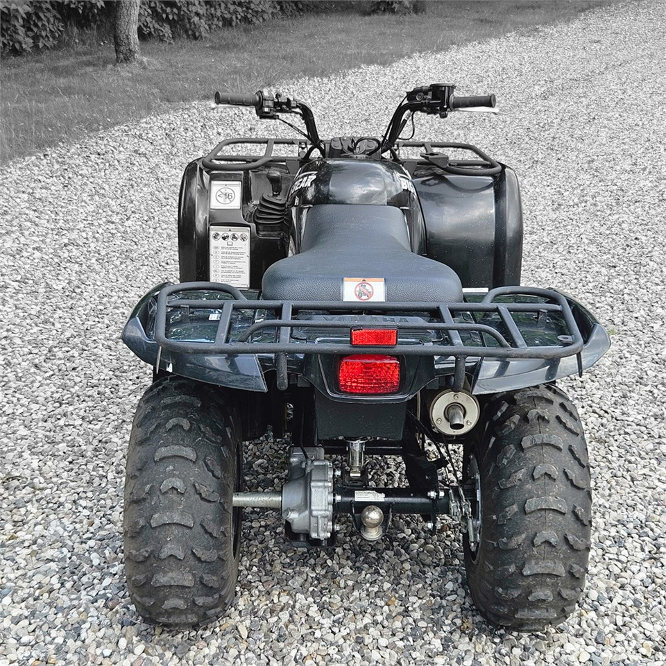 Yamaha YFM 250 - Cuadrimoto: foto 5 Yamaha YFM 250 - Cuadrimoto: foto 5