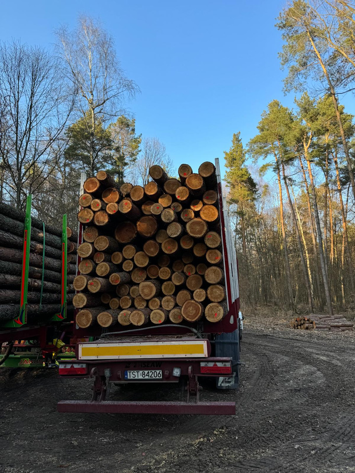 ZASŁAW D651A - Semirremolque forestal: foto 3 ZASŁAW D651A - Semirremolque forestal: foto 3