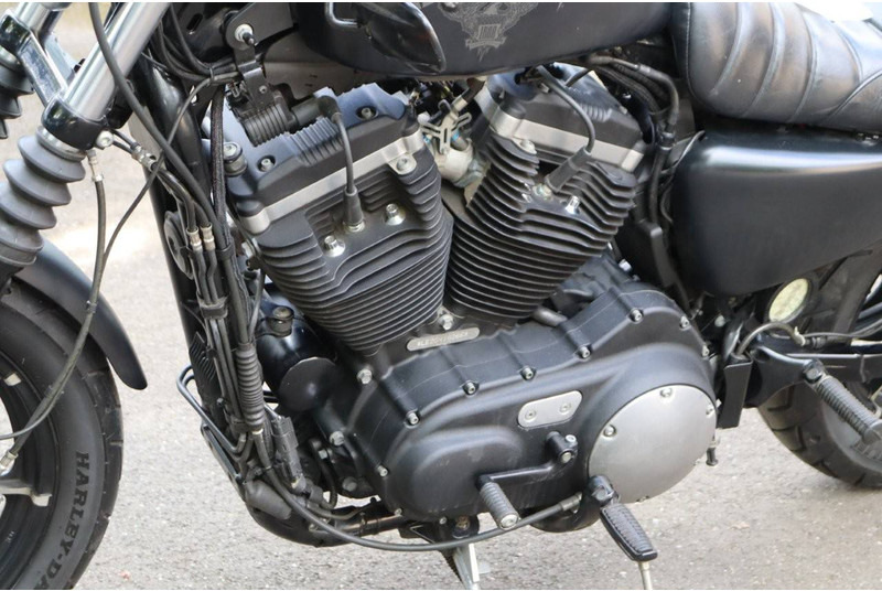 Motocicleta Harley-Davidson Sportster XL 883 Iron: foto 13