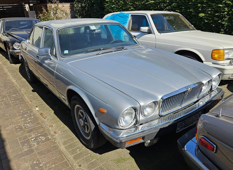 Jaguar 'XJ (series III) 6 _ 4.2 Automatic - Sedan: foto 1 Jaguar 'XJ (series III) 6 _ 4.2 Automatic - Sedan: foto 1