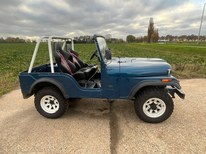 Jeep CJ-5 - Coche: foto 5 Jeep CJ-5 - Coche: foto 5