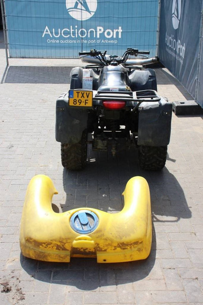 Suzuki Ozark 250 - Cuadrimoto: foto 4 Suzuki Ozark 250 - Cuadrimoto: foto 4