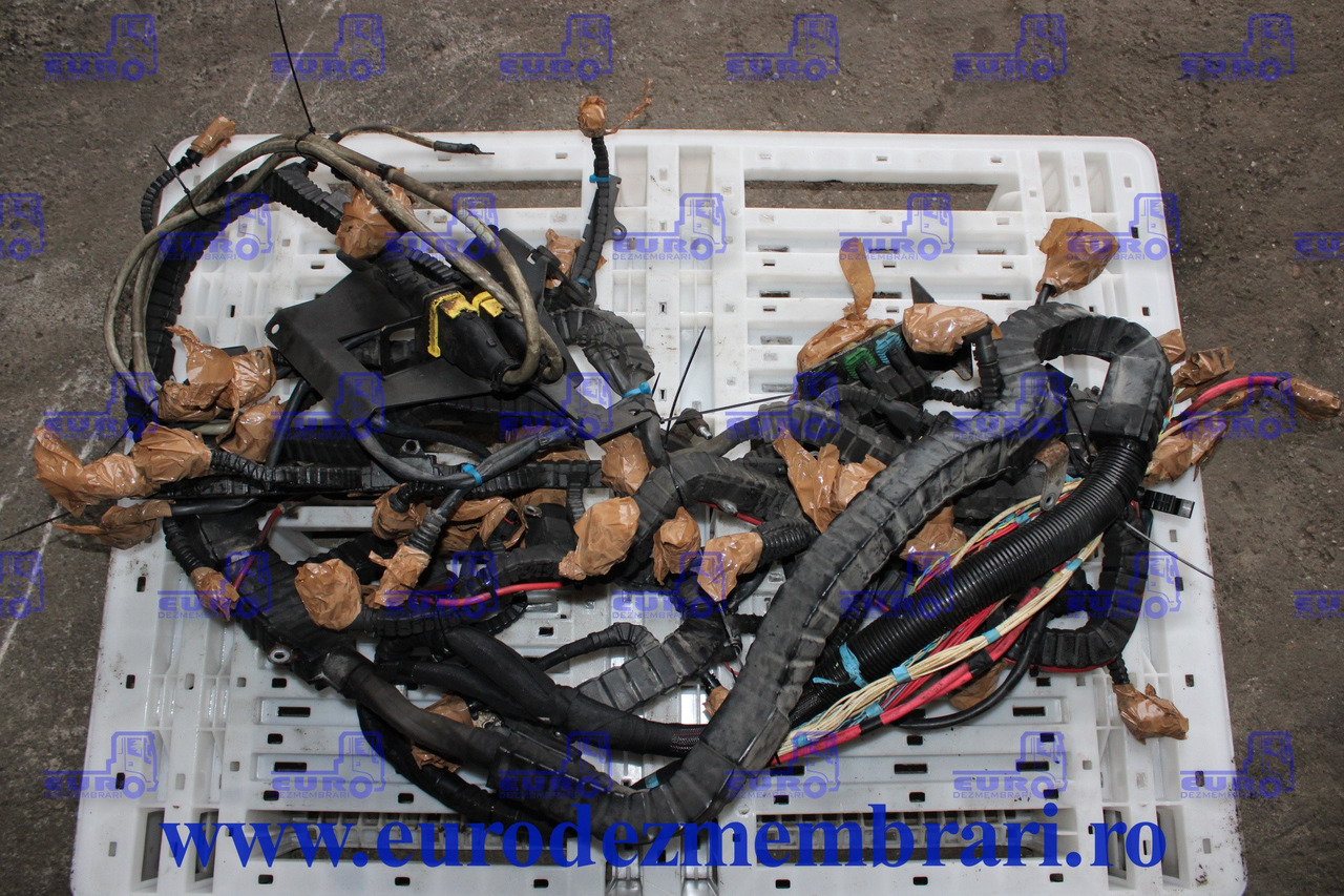 INSTALATIE ELECTRICA MOTOR DAF XF106 MX-13 2032798 - Sistema eléctrico para Camión: foto 1 INSTALATIE ELECTRICA MOTOR DAF XF106 MX-13 2032798 - Sistema eléctrico para Camión: foto 1