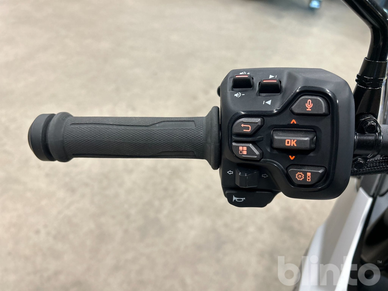 Motocicleta BRP: foto 14