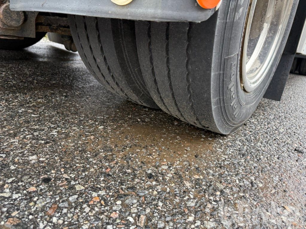 Remolque portacontenedore/ Intercambiable Hogstad Svets S3-LV-30 / exklusive flak: foto 12